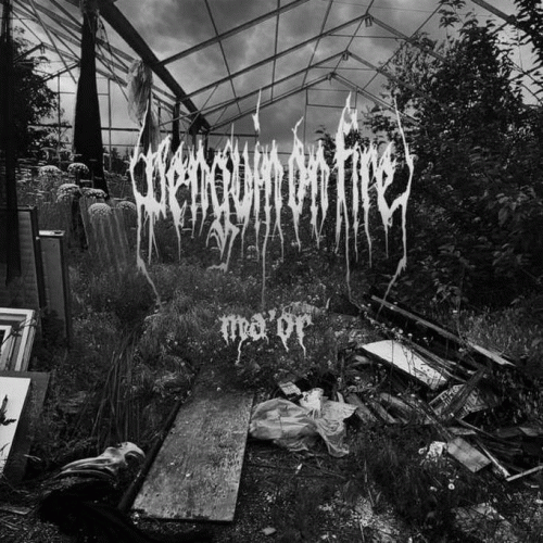 Penguin On Fire : Ma'Or